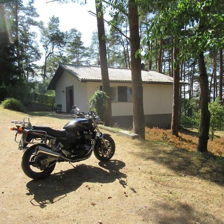 Feriendorf Mengshausen Niederaula Exteriör bild